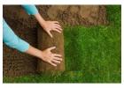 Lawn Care Services Melbourne