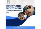 Expet and Professional Plumbing services in Bali