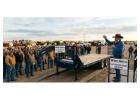 Find the Best Deals on Auction Trailer Listings Today