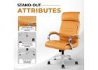 Boss Office Chair for Executive Comfort and Premium Style | IAFA Furniture