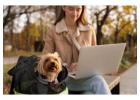 Best Pet Sitting Services Near You
