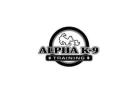 Alpha K-9 Dog Training
