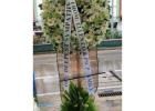 Funeral wreath Philippines