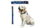 Premium Dog Collars and Leashes by Waggety for Daily Walks