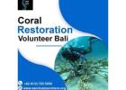 Coral restoration volunteer Bali