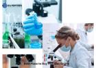 Find the Best Place to Buy Peptides Online Safely