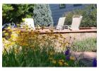 Drought Tolerant Landscaping Colorado to Transform Your Outdoor Space