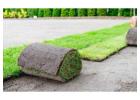 Putting Green Installation Duncanville