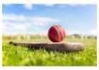 Get Your Online Cricket ID from Amiribook – Fast & Trusted Service