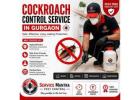 Best Cockroach Control Service in Gurgaon Safe Fast Pest Removal