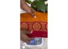 Shop New Arrival Mysore Silk Sarees at Online for Best Price - ATHARVA