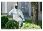 Ultimate Pest Control in Food Industry in Jaipur Safe Care