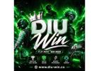 Beginner Tips and Features Available on DIU Win