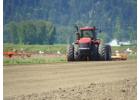 Western Turf Farms Ltd