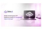 Zata.ai: Acronis Cloud Storage Solutions with Flexible Pricing Insights