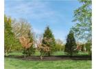 Shop Evergreen Trees Online | Evergreen Trees with Delivery, Planting & 1-Year Warranty