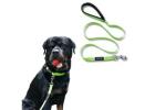 Dog Collars and Leashes by Waggety for Daily Use