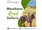 Mombasa Road Safaris