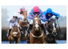 Hotel Near Windsor Racecourse – Grovefield House Hotel & UNO Thames Hotel