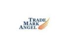 Professional Brand Registration US Services