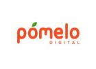 Creative Digital Branding & Marketing Agency in Gurgaon | Pomelo Digital