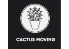 Cactus Moving Ottawa