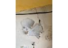 Waterproofing Experts | Waterproofing Services in Hyderabad | Waterproofing Contractors