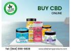 Buy CBD Online – Premium Quality at Your Fingertips