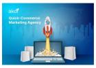 Professional Ecommerce Marketplace & Quick-Commerce Marketing Services