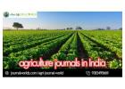 Leading Agriculture Journals in India for Research and Publication