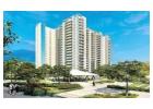 Ireo The Corridors Sector 67A Gurgaon.