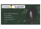Master Sanjivram Ji’s Evil Spirit Removal Services in Illinois