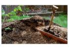 Buy Highly Durable SA Landscape Supplies from BackWoodLFS