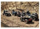 Buggies