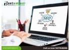 Maximize Your Visibility with Local SEO Services