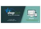 Shopify Theme Development for Custom Store Designs