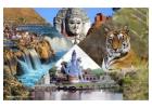 Madhya Pradesh Tour Packages Book Your Adventure Today