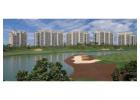 "DLF The Camellias: Gurgaon’s Premier Ultra-Luxury Residences"