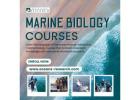 Marine Biology Courses