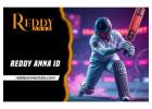 Reddy Book Club–Top Cricket Gaming Hub 2025