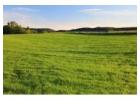 Searching for a Plot for Sale in Uttarakhand?