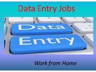 Daily Data Entry Work for form filling | Contact now 7708244092 Daily Data Entry Work for form filling | Contact now 7708244092