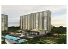 Godrej Sector 49 - Residential Property