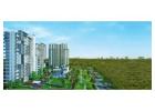 Godrej Zenith 89 Gurgaon - Residential Property