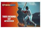 Tiger Exchange 247: Playing Cricket on Tiger Exchange ID