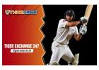 Tiger Exchange 247: Using the Tiger Exchange ID to play cricket