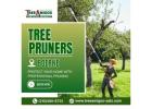 Tree Pruners In Boerne