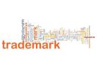 Professional Trademark Registration in Delhi for Businesses