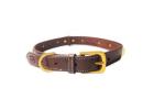 Leather Dog Collar: A Durable and Stylish Essential for Your Pet