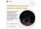 Powerful Black Magic Removal in New York by Pandit Krishna Sai